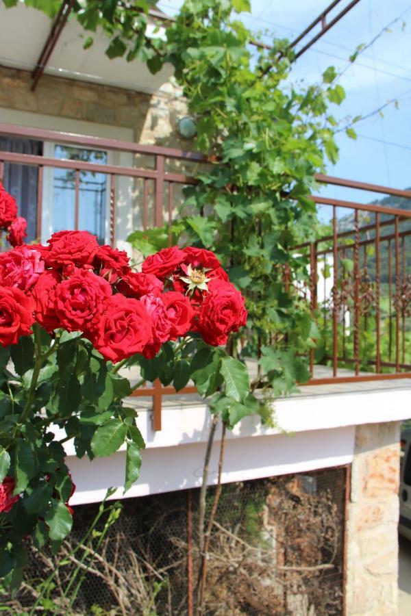 Apartmani Ivankovic Vrisnik ภายนอก รูปภาพ